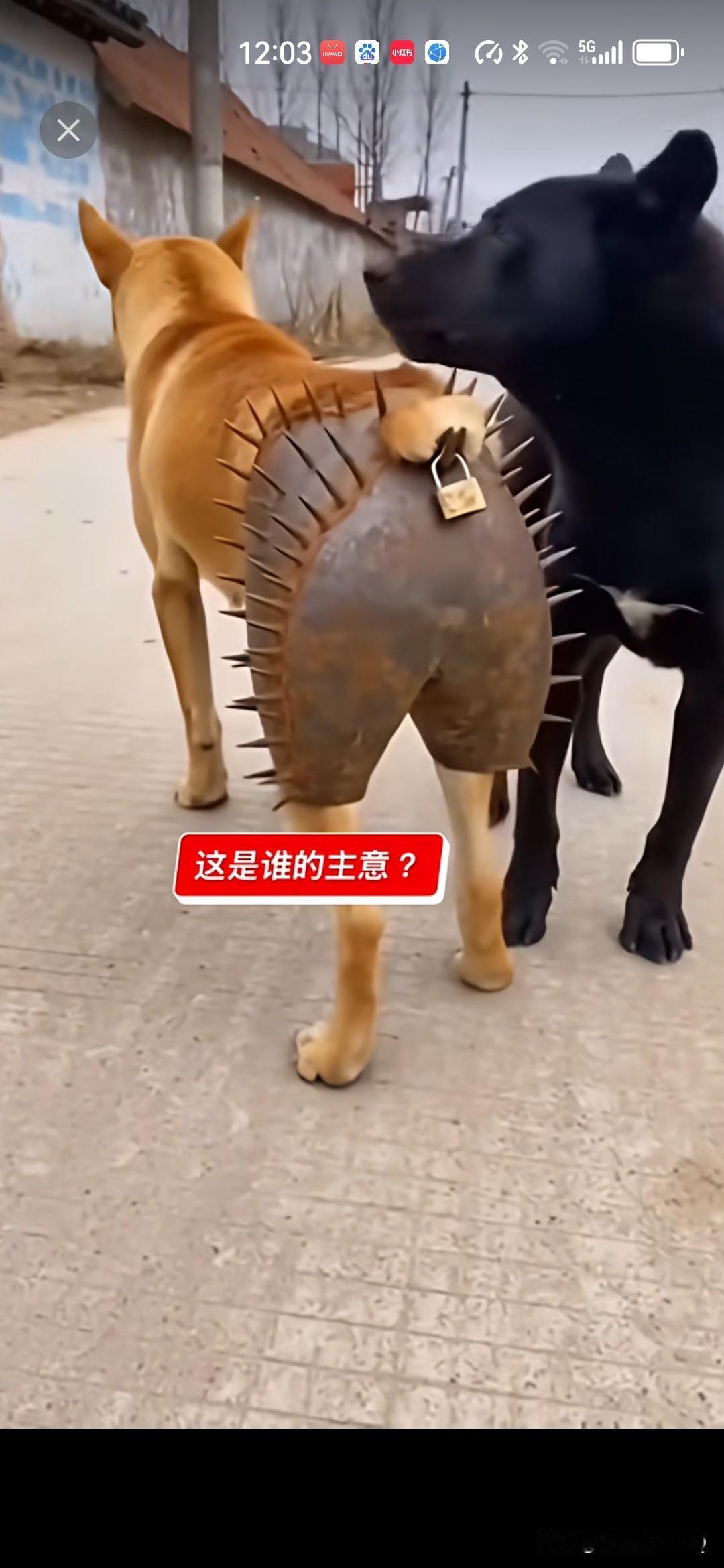 上海政协委员：取消中高考是早晚的事！当读书是资源时，大家都重视，而通过考试来提升