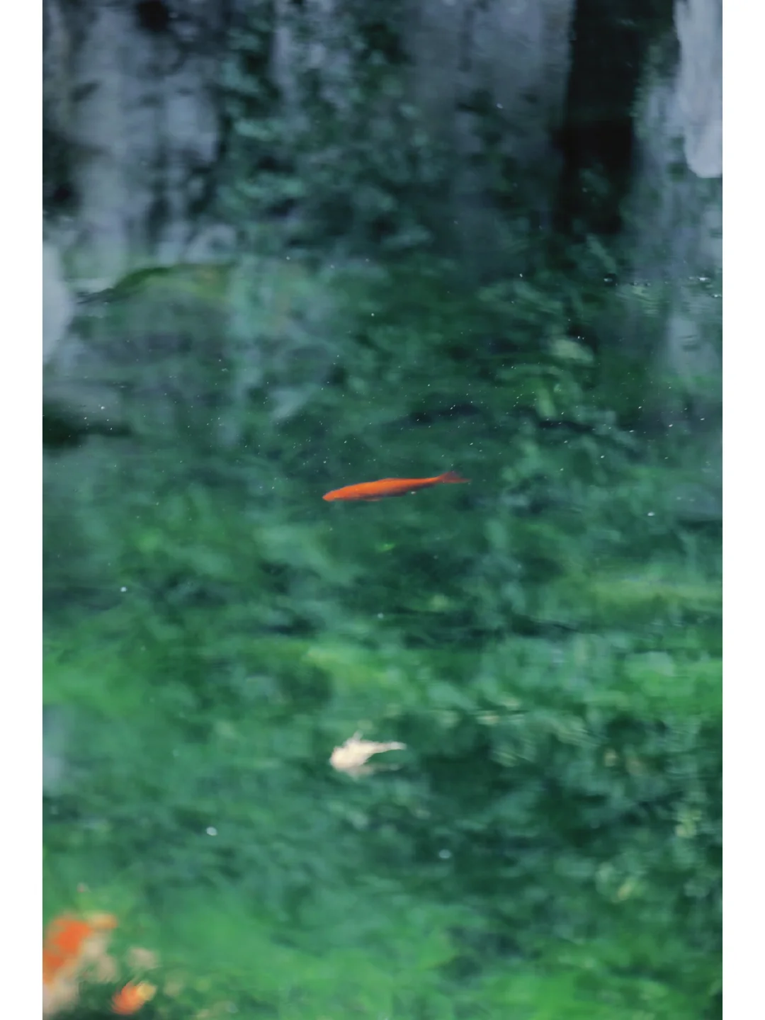 皆若空游无所依