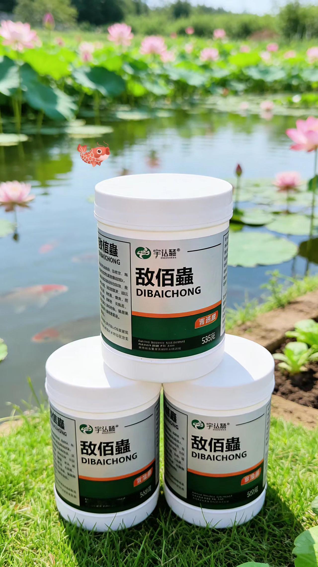 敌佰蟲 鲢鱼 鲤鱼 草鱼 鱼塘养殖