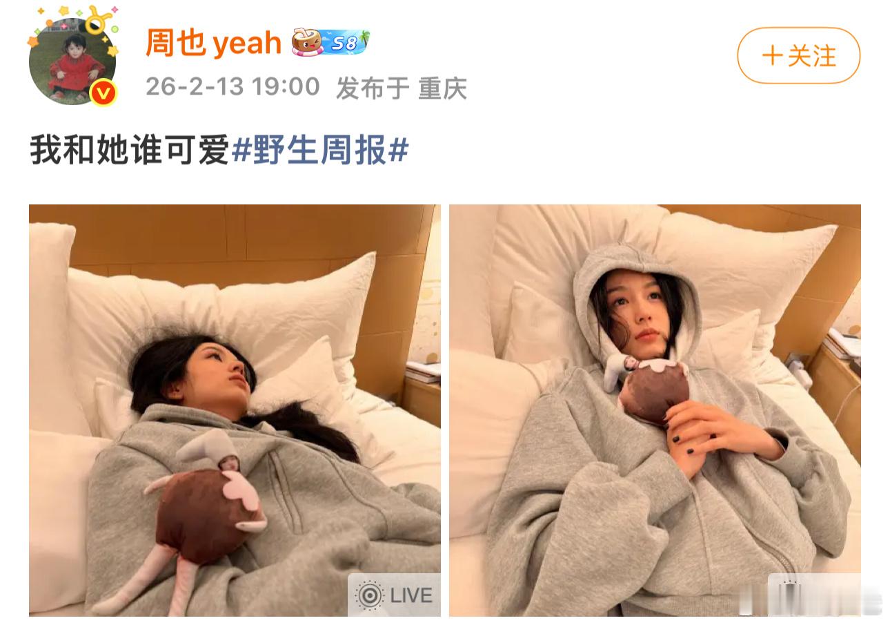 这个文案看的我想起一位故人 