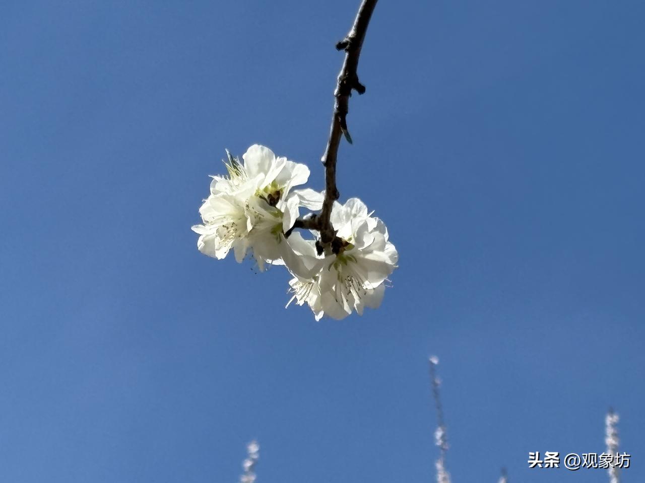 为什么越夸孩子,孩子越难有出息?为什么越夸孩子，孩子越难有出息？因为“捧杀”比“