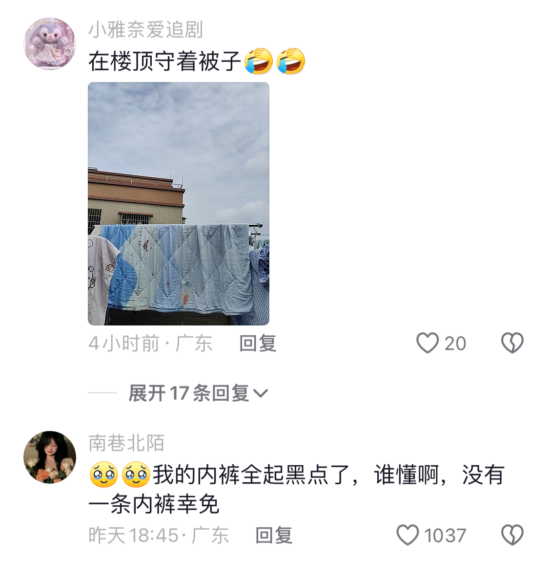 广东的天气有多离谱 ​​​