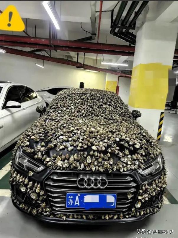 “一分钱不要，也得让你长记性！”业主车位被霸占10天，一怒之下做了这种事。

