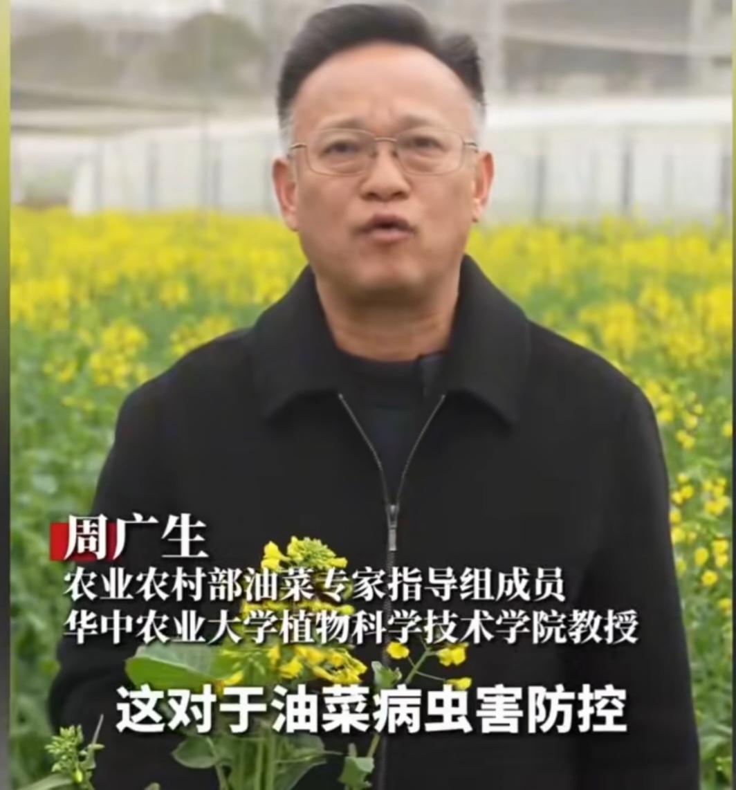 周广生“花期打药论”：披着科学外衣的伪专家话术

周广生教授公开鼓吹“油菜花期必
