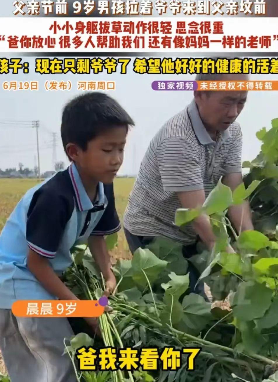 父亲节前夕小男孩扫墓一幕引人深思
 
父亲节快要到来，河南周口九岁男孩晨晨，提前