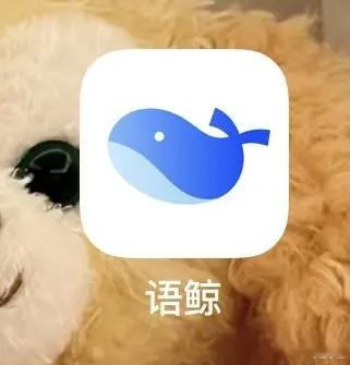 我用AI清空了收藏夹吃灰文章懒人福音语鲸帮你看完公众号咱就是说，大家微信星标的那