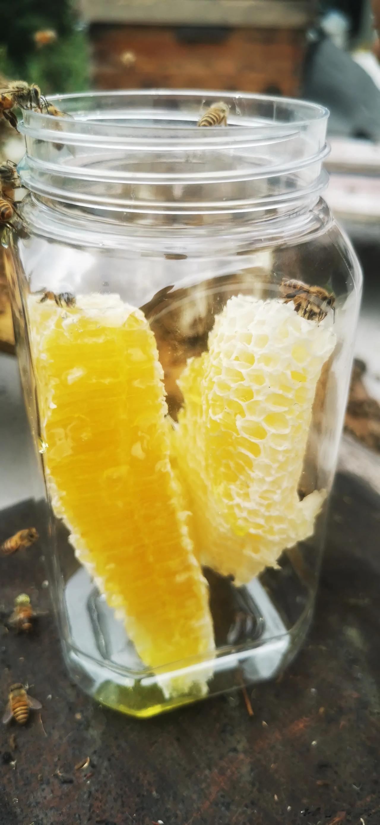 土蜂蜜，纯蜂蜜，真蜂蜜……
林哥养的蜂蜜……