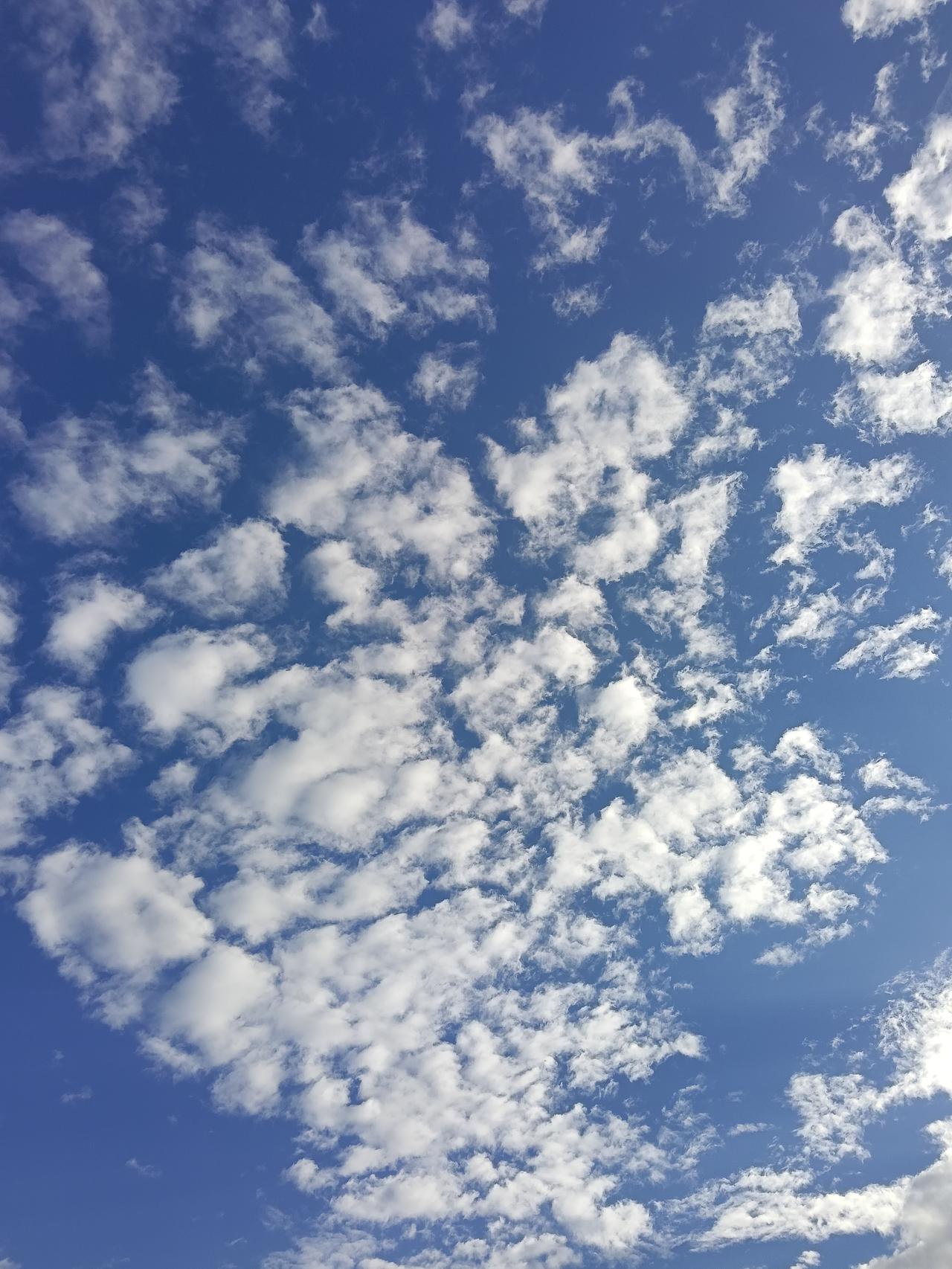 之前总觉得秋天的天容易灰蒙蒙的，那天才发现，晴透了的秋空根本不需要加滤镜，连手机