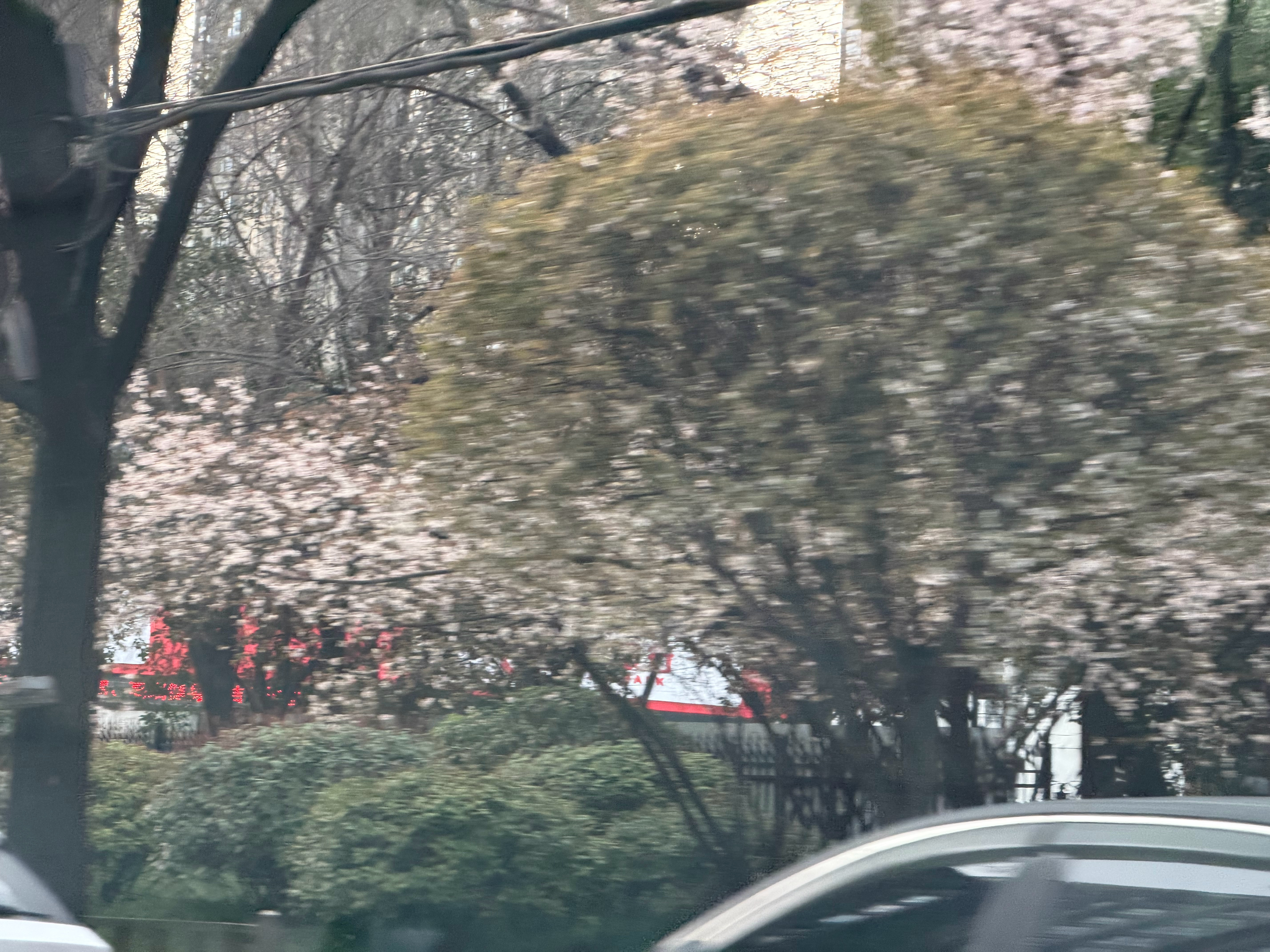 近期两周去了一些城市：珠三角的广州、深圳西南昆明长三角的：芜湖、合肥、南京、上海