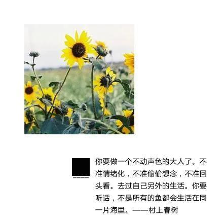这是我见到的，
最能缓解焦虑的话了，
但凡能这么做，
吃嘛嘛香，
闭眼就睡得着。