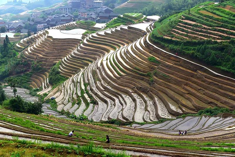 中国人为了吃饱饭太不容易了，连巴掌大的地方都种上了粮食。

对比于美国、巴西的大