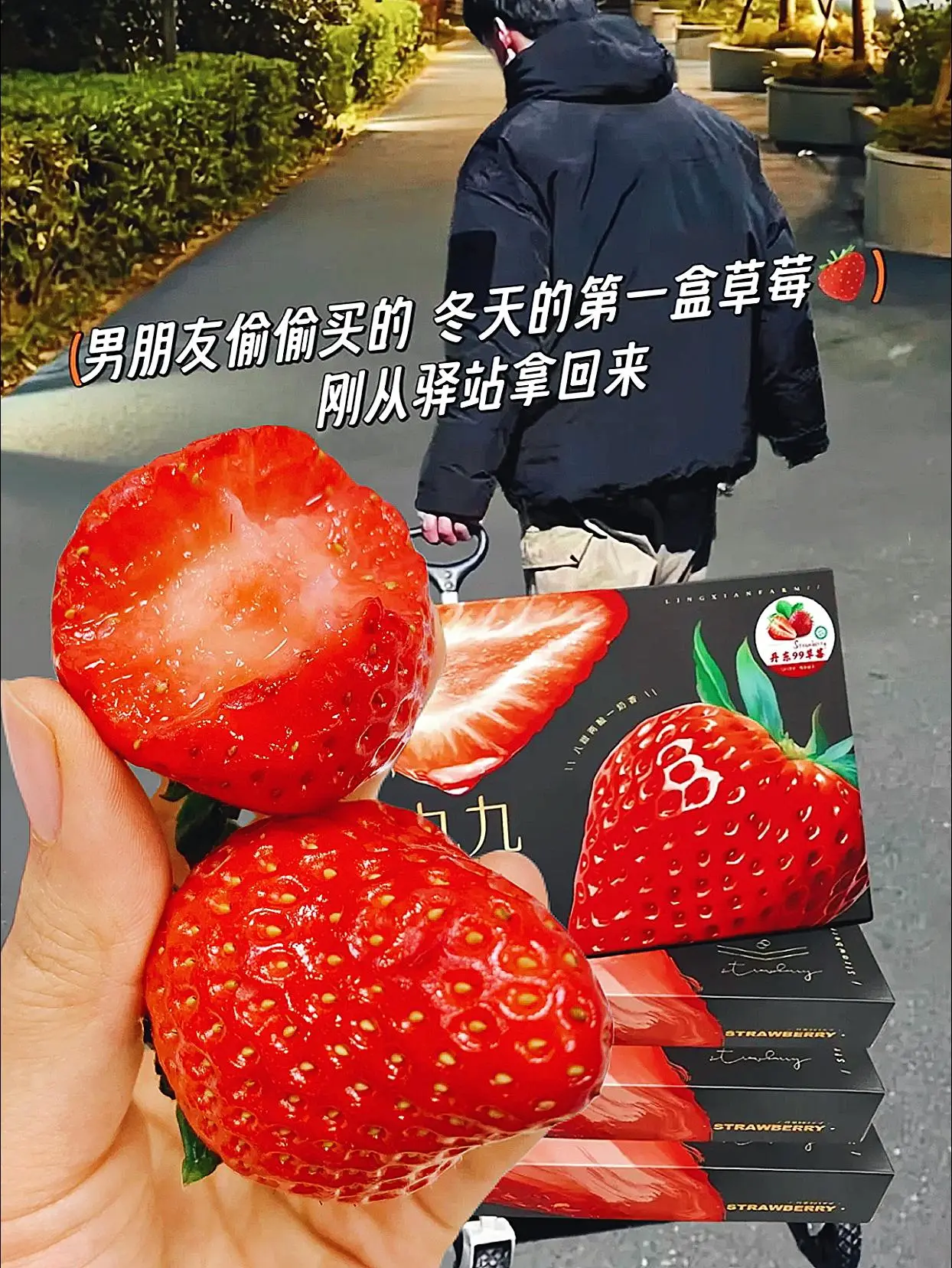 这个真的错过就要等明年了。来自丹东的九九草莓，一年就这么一个月的丹东大...