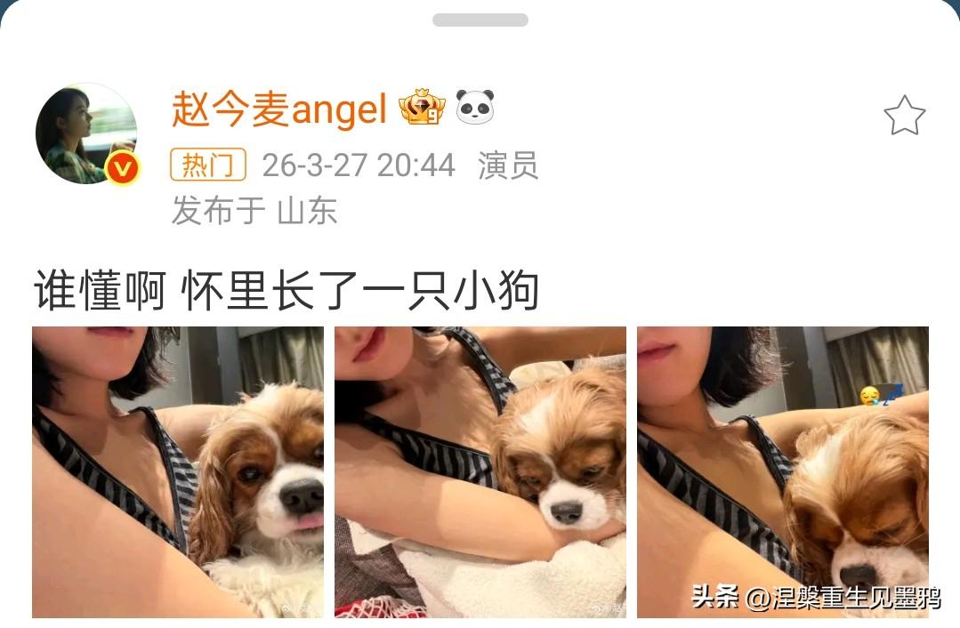 赵今麦似乎丢了一张照片。

3月27日晚，赵今麦发布动态，配文“谁懂啊 怀里长了