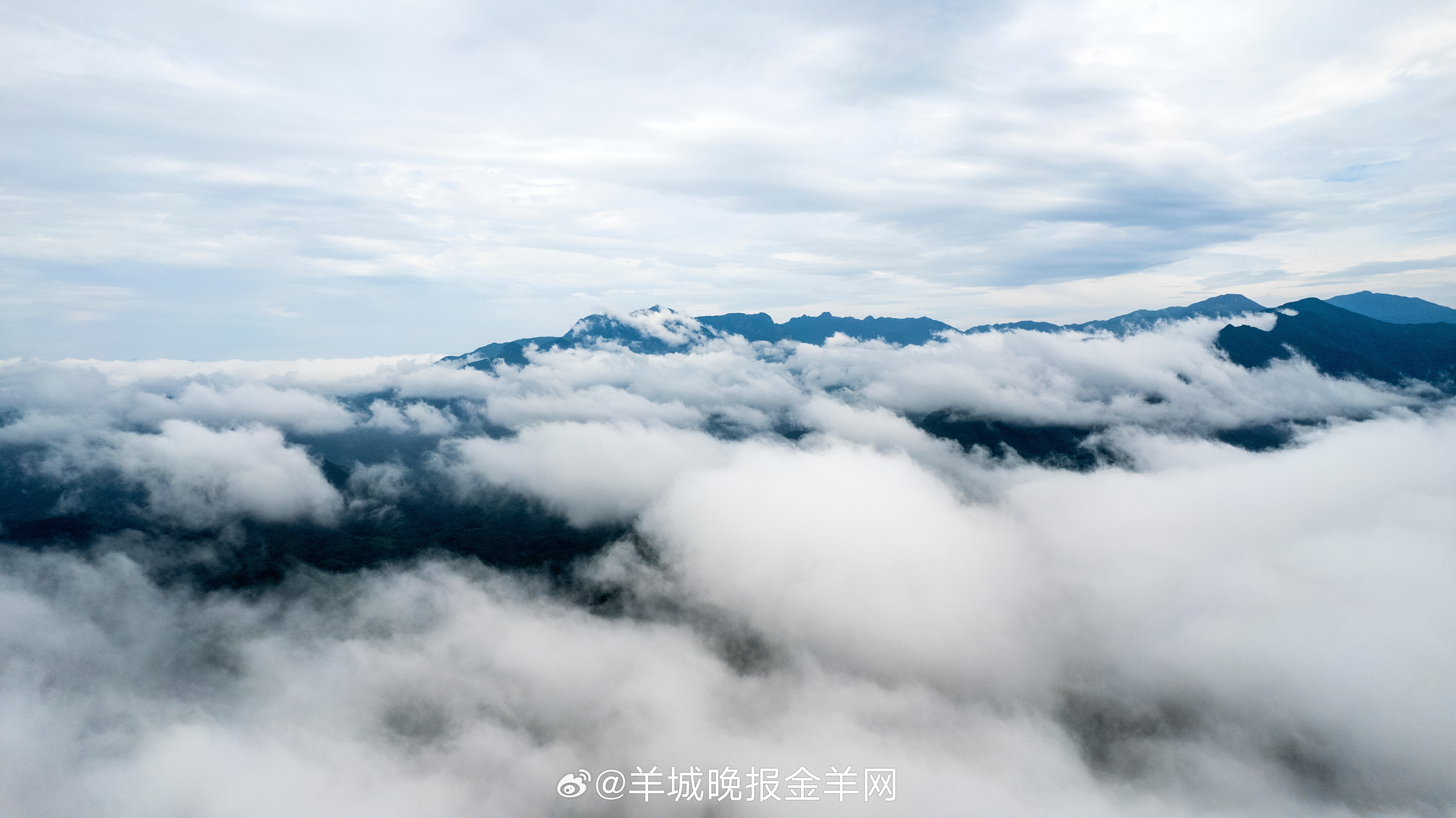 #晚安# 星光入窗时，记得对自己说声“辛苦了”。今天的你无论是否圆满，都已种下成