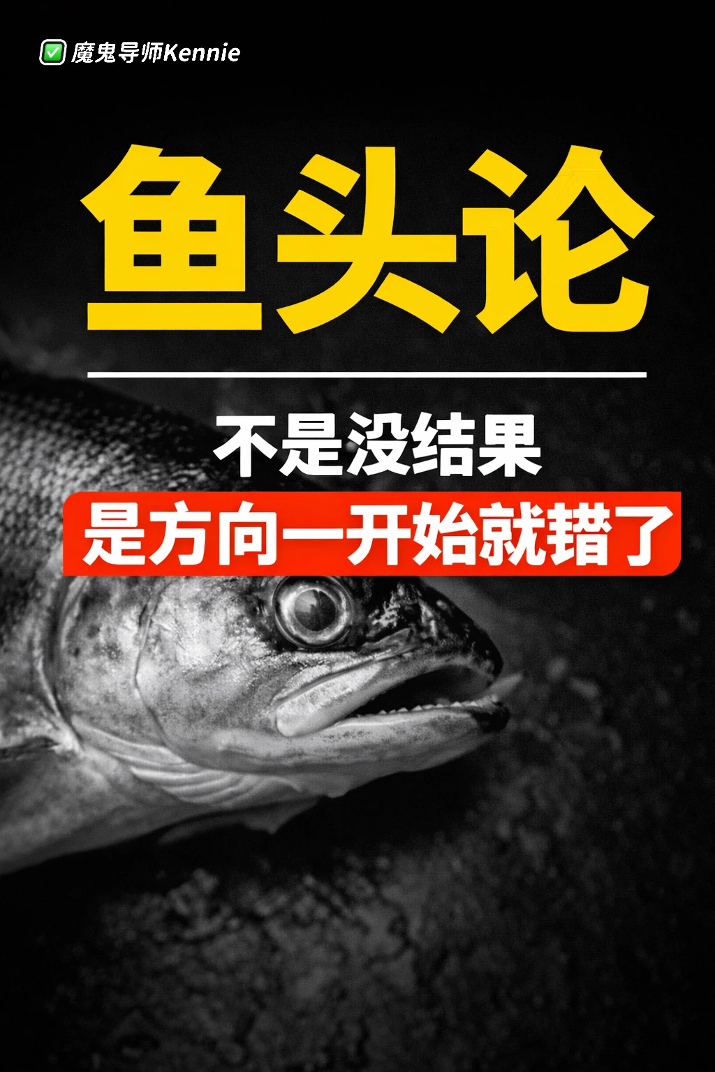 敦林良实医生的鱼头论治好了我的焦虑