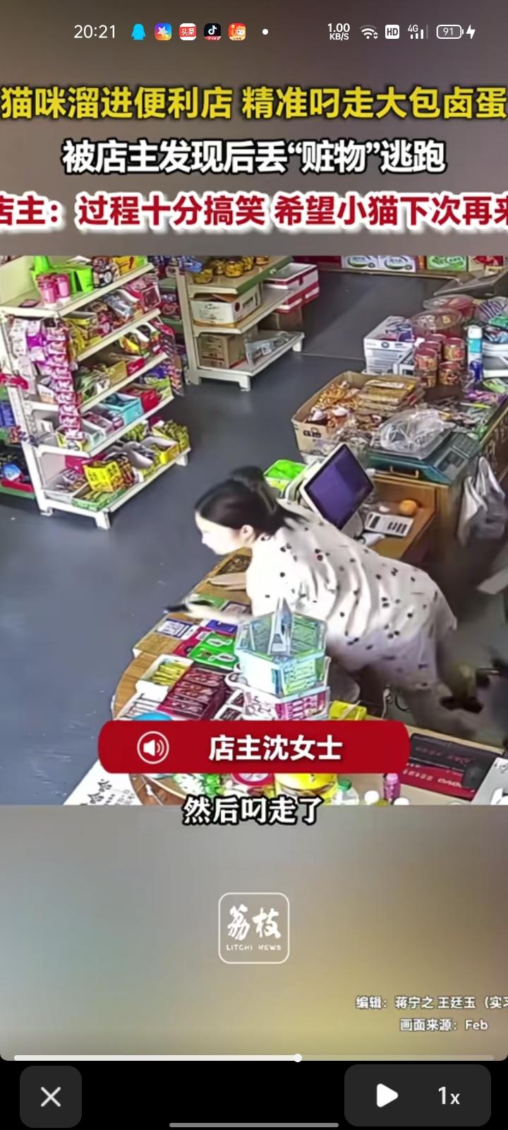 8月30日，河南郑州。网友发视频称，邻居家的猫溜进便利店，精准叼走大包卤蛋，被自