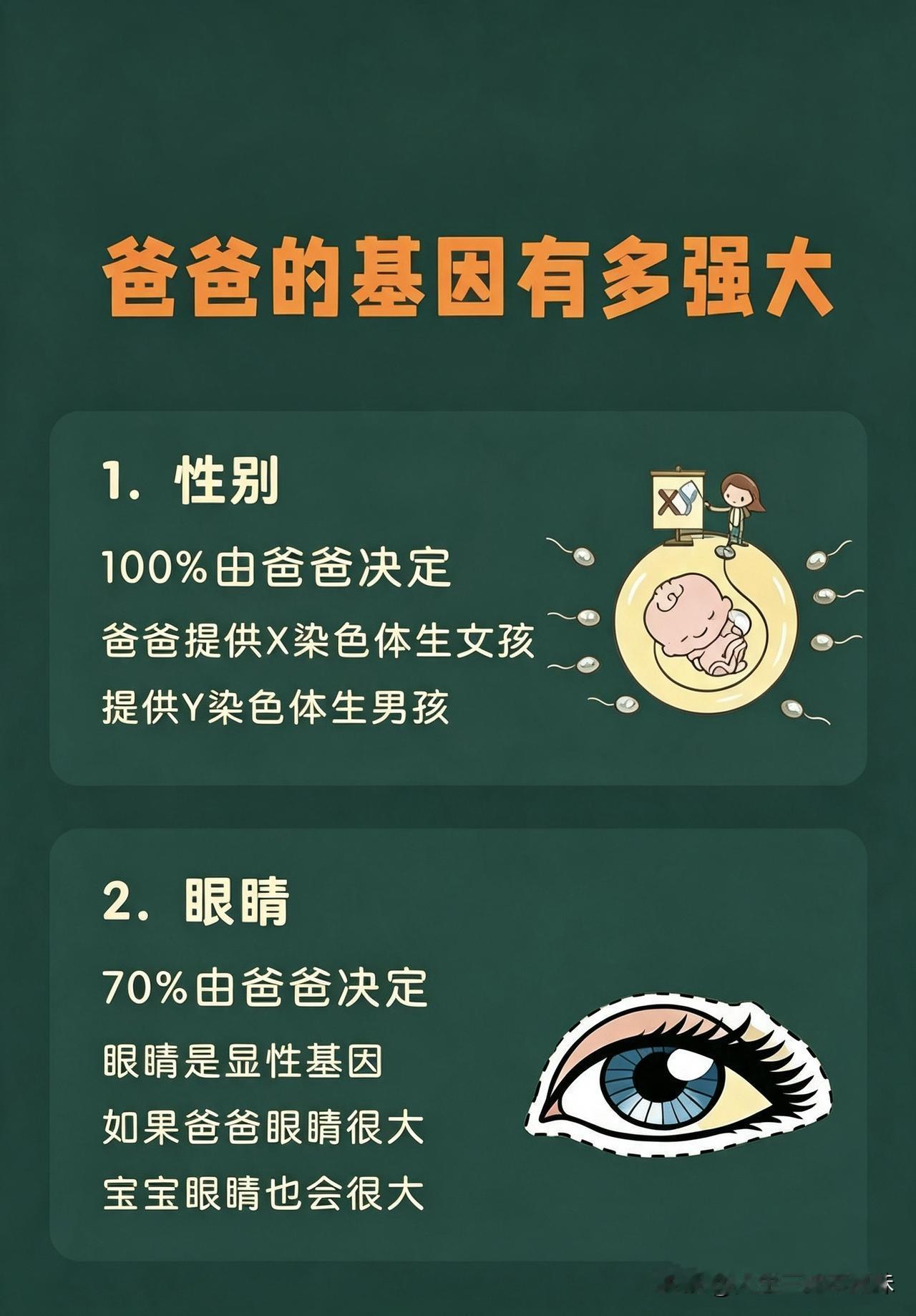 爸爸的基因到底有多强大。
 
宝宝性别是爸爸100%决定的，X染色体是女孩，Y就