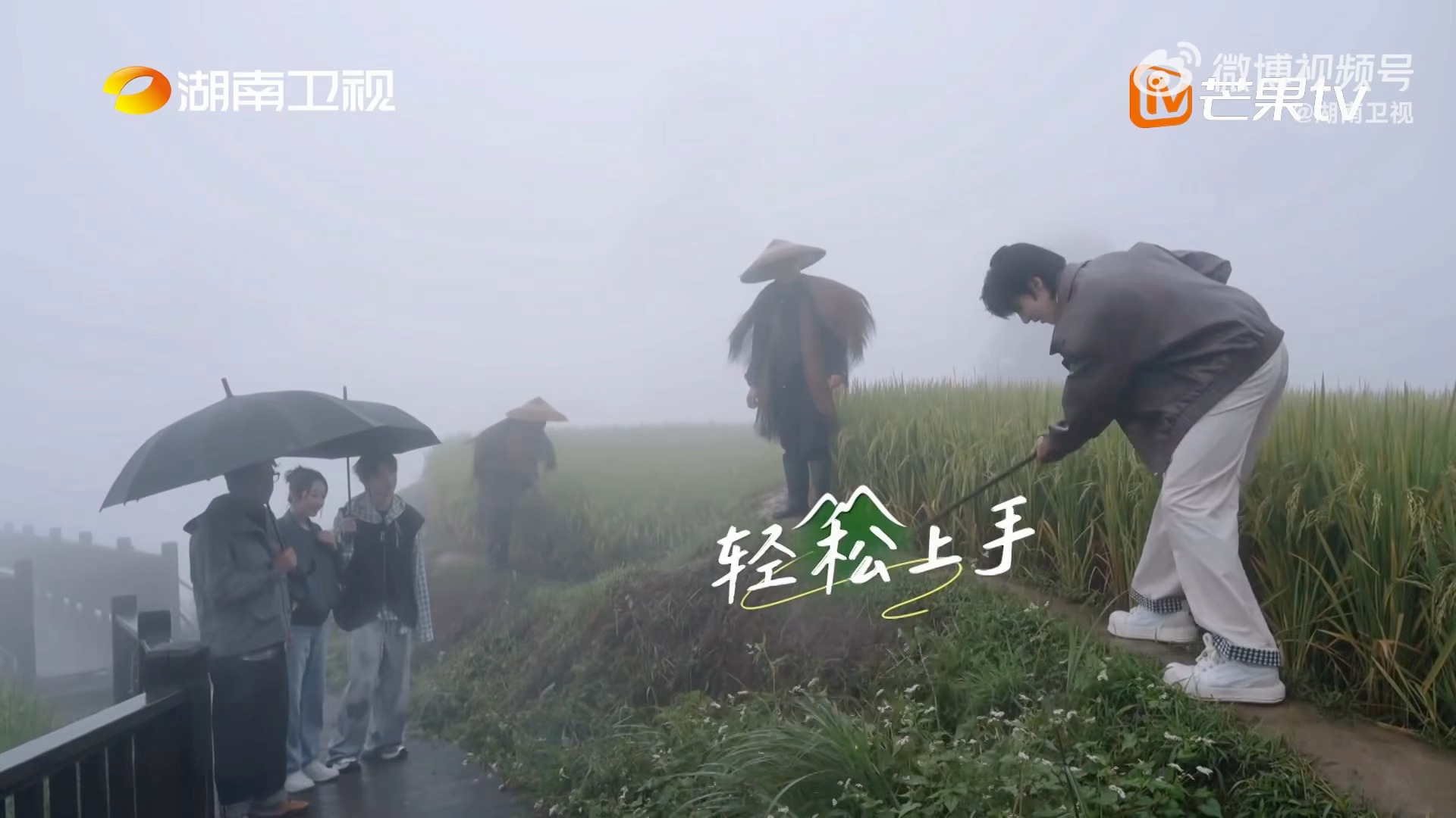 卓沅在怀化也割上草了卓沅的种田DNA直接觉醒，看到割草忍不住上前一试，动作利落专