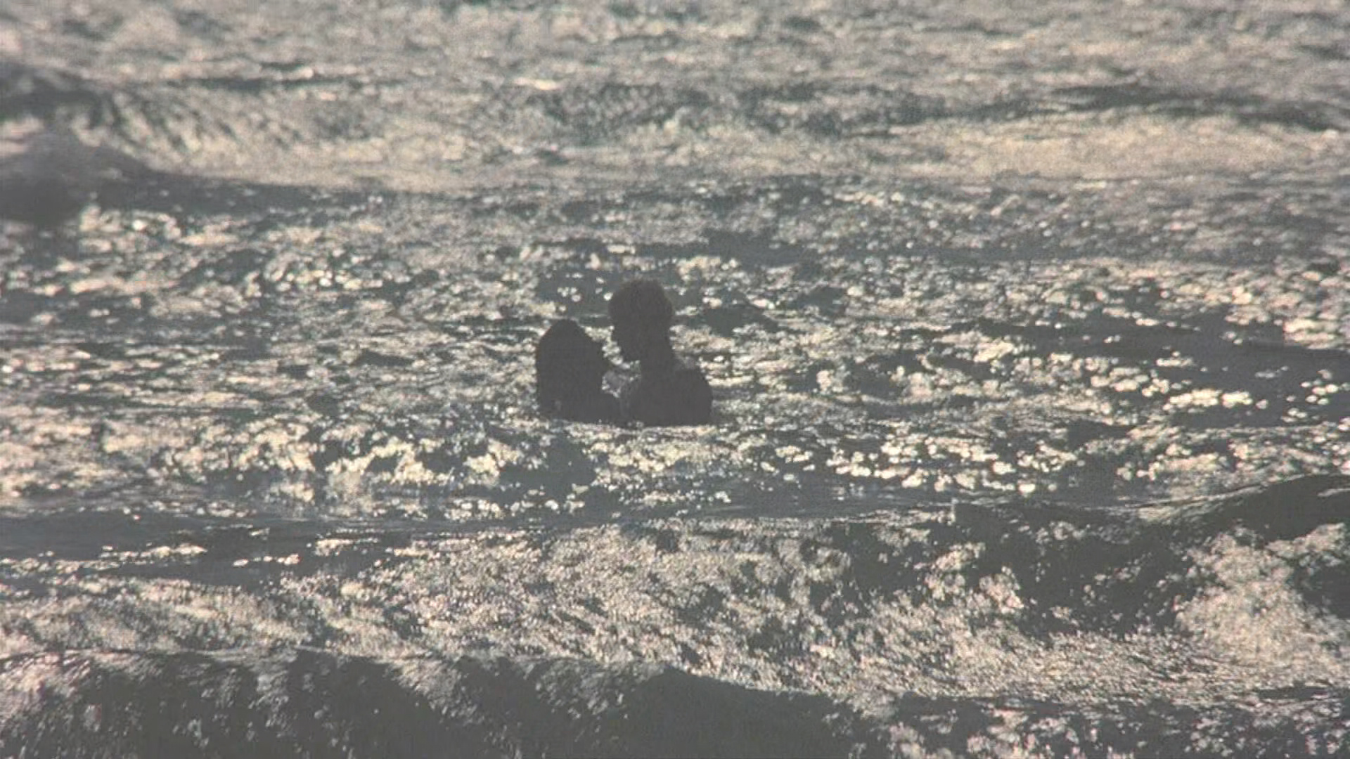 爱情可能就是这样。有一半是装出来的。｜加缪 