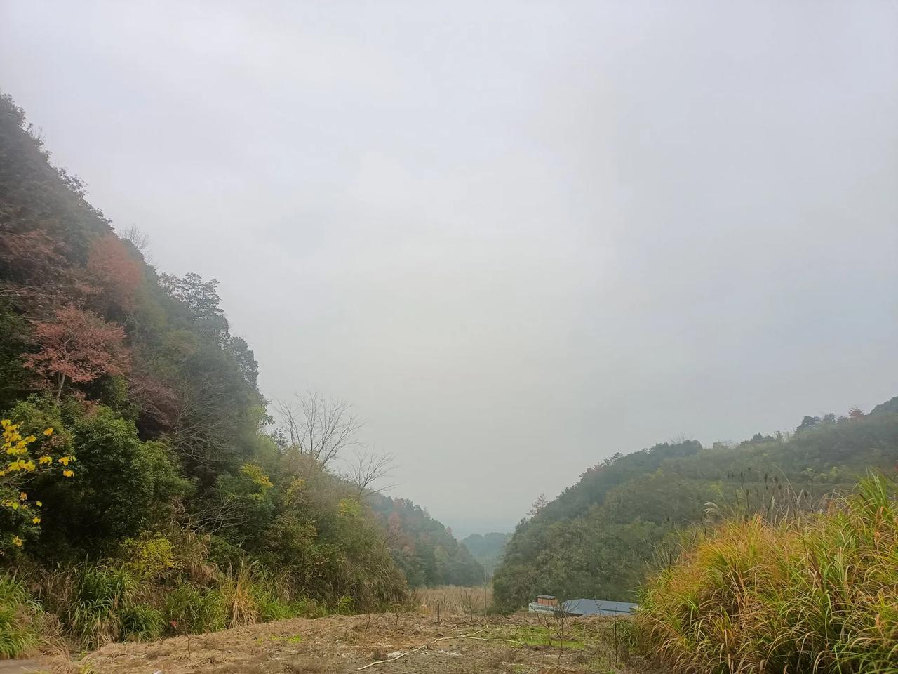 春日生活打卡季