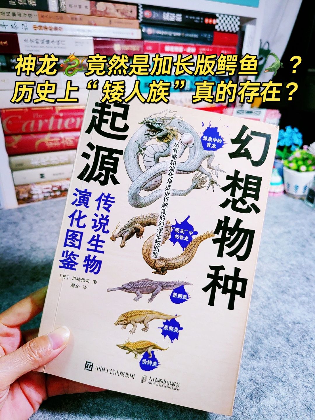 只有我不知道💥麒麟、鲸、牛原来是一家？