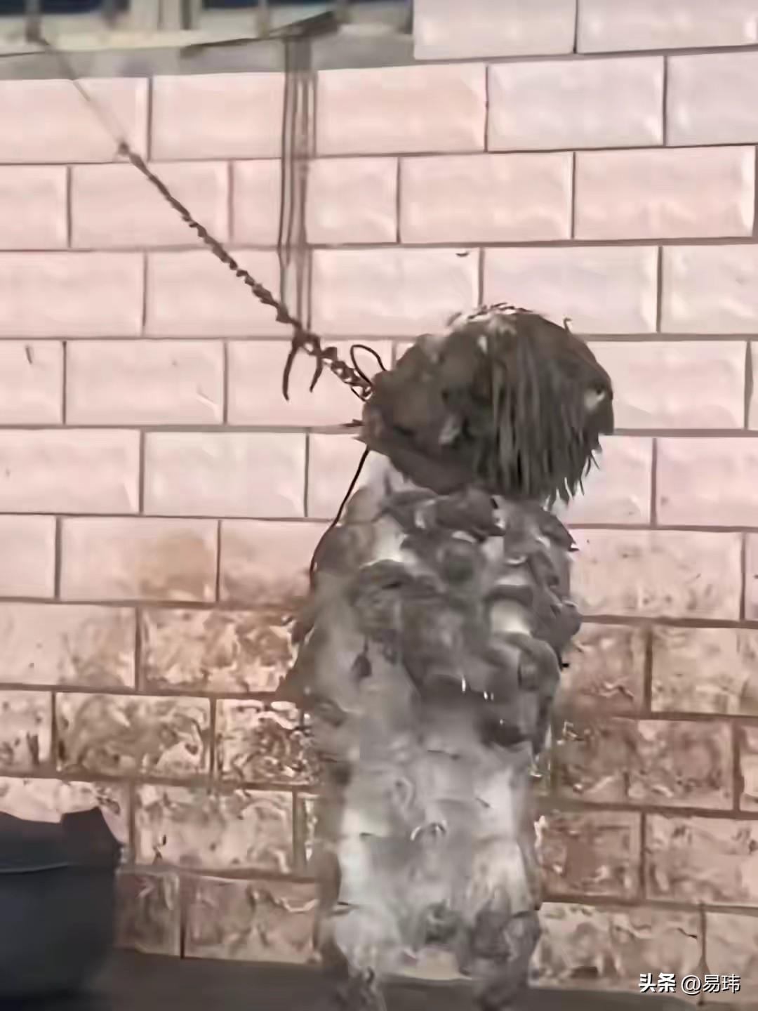 这天，一位小姐姐去朋友家玩，当她们吃完饭去散步的时候，看到一户人家的窗户上系着一