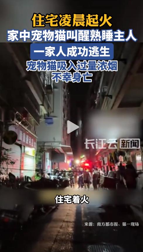 它才一岁啊！ 凌晨4点多，深圳罗湖区一住宅突发大火。一家三口毫发无损地逃了出来，