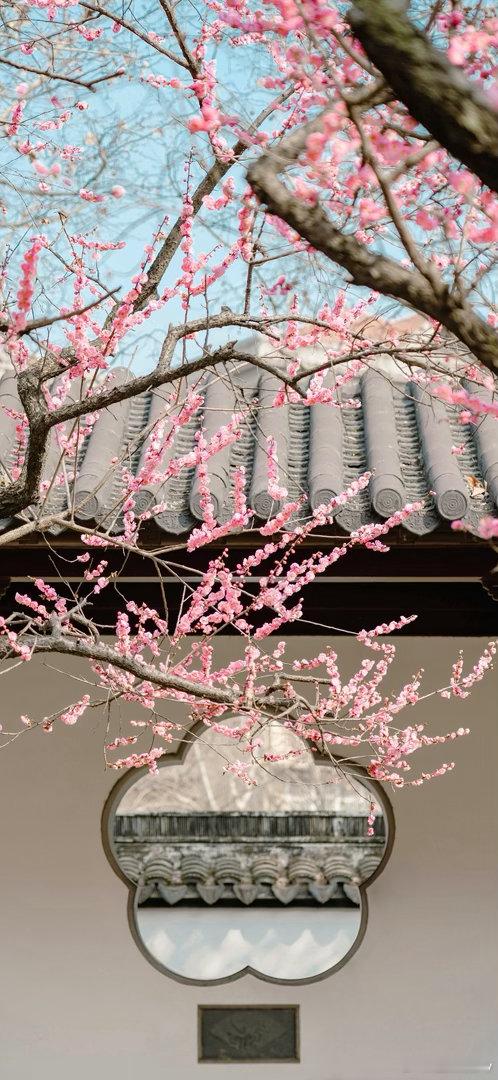 图灵塔罗  乙木、甲木、庚金、辛金发财日💴💴💵又来啦！接住🫴派出所回应扶