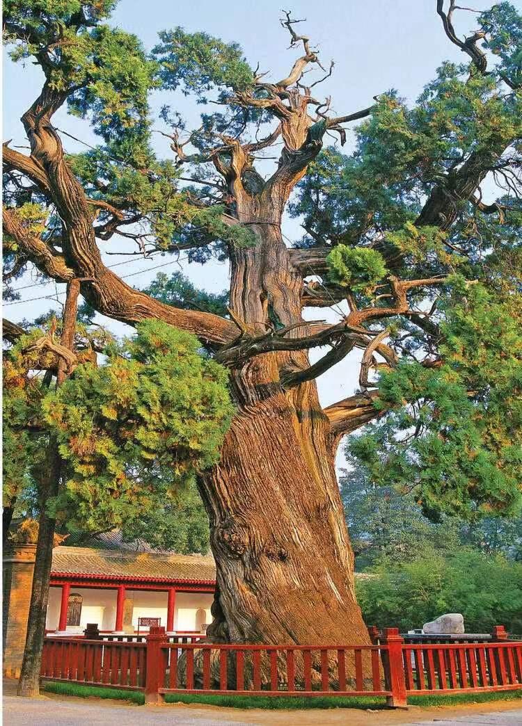 问：你感受过博物馆里“被剧烈压缩的时空”吗?哪个展品曾让你有种“穿越”的错觉?
