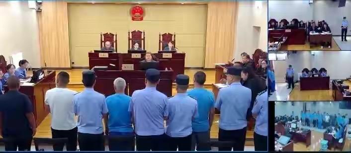 涉案金额近1.18亿！
这起特大跨国走私珍贵动物制品案太让人震惊了！自2023年