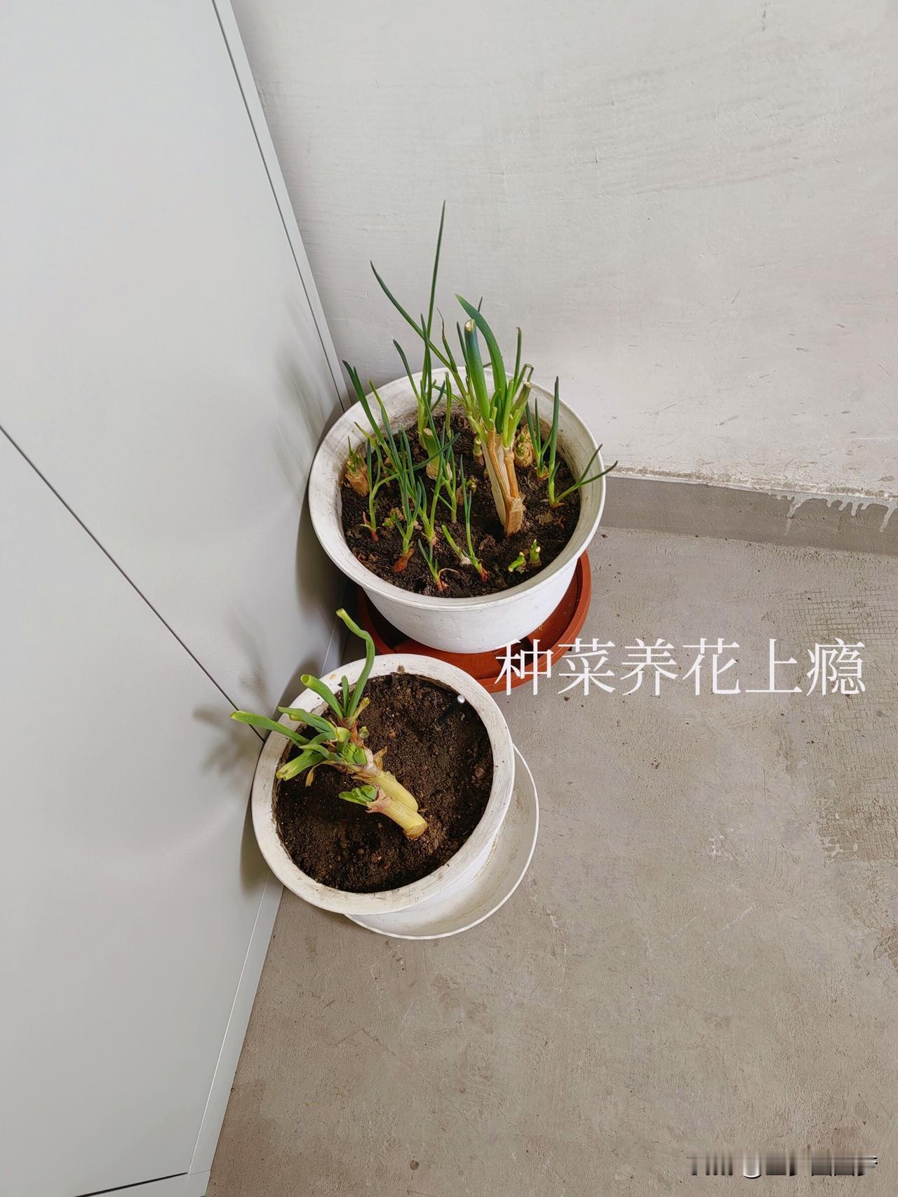 今年的今天4月8日，我家这个月三个人已开支5000多元  ，其实我在吃的穿的方面