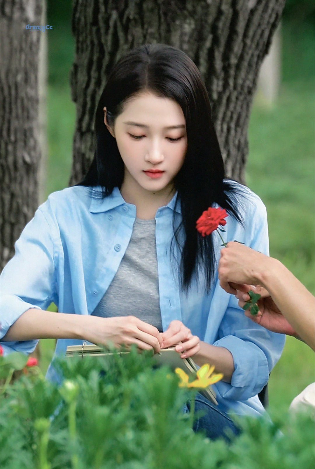 关晓彤 gxt关晓彤红掌 gxt关晓彤孟露莎 ‧₊ 𐙚ﾟɢɪʀʟꜱ ʟᴏᴠᴇ 