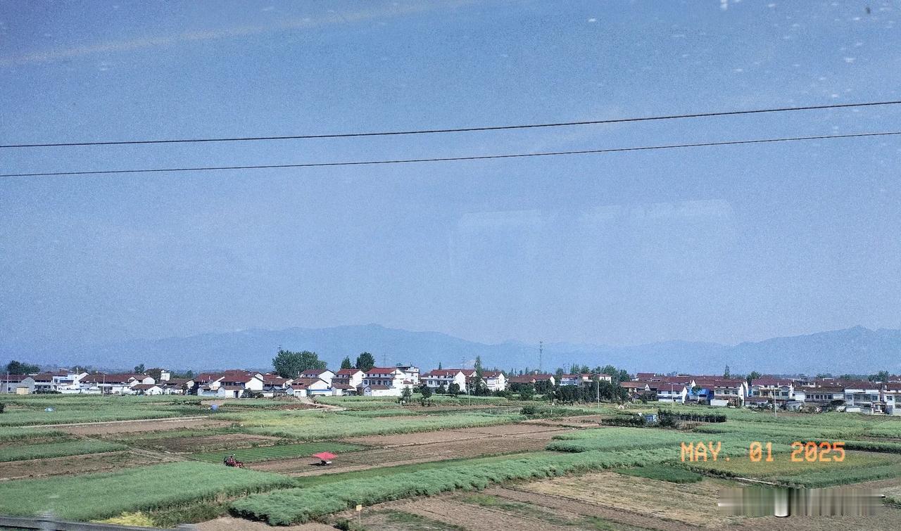观风风未见。