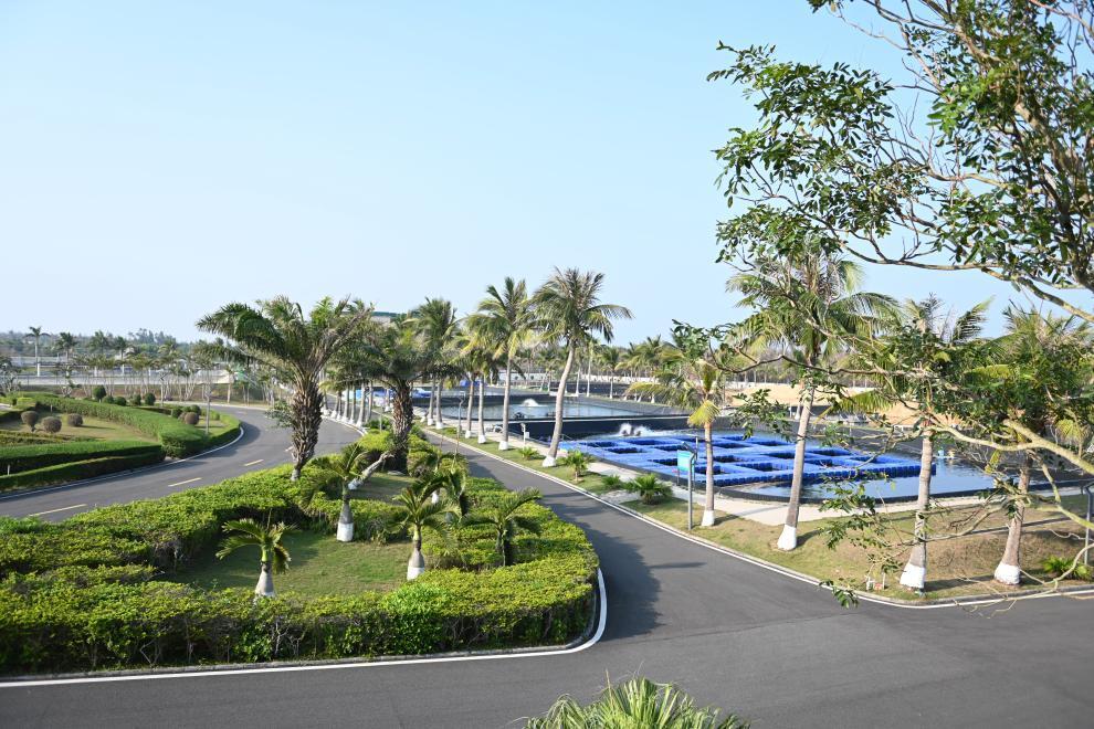 庄子《在宥》十六

悲夫，有土者之不知也！夫有土者，有大物也。有大物者，不可以物