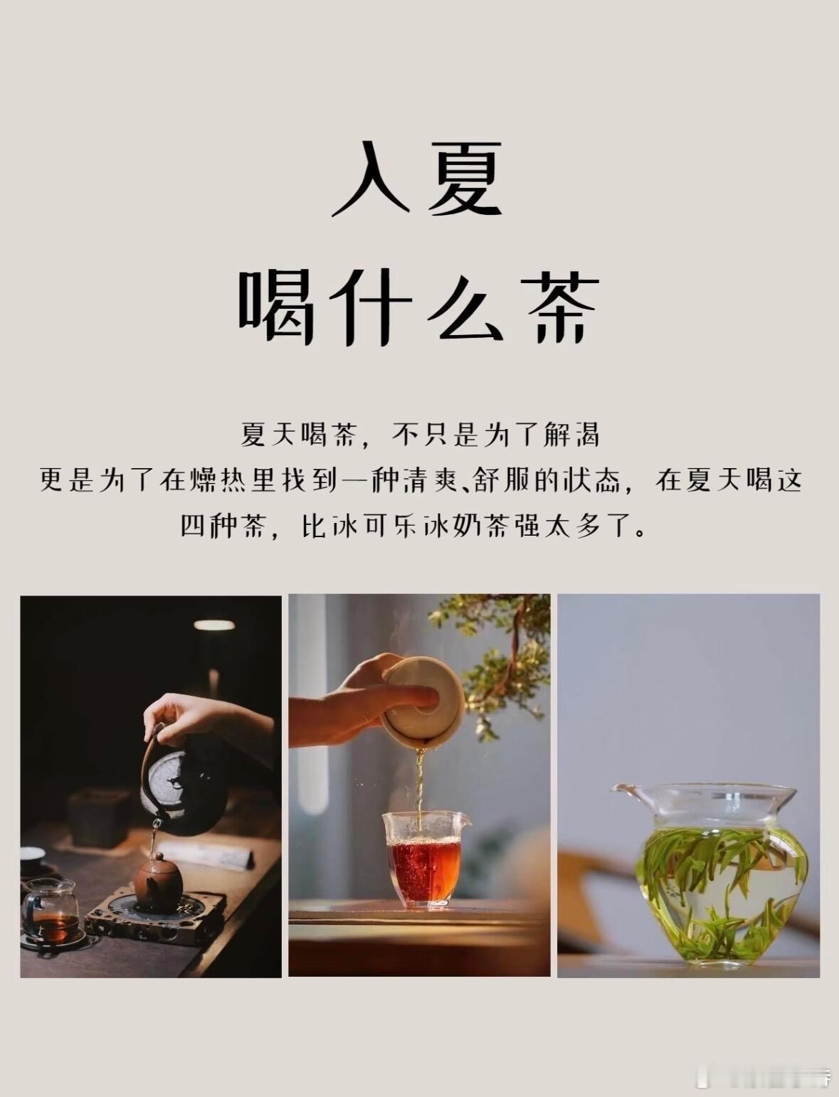 夏天喝茶，不只是为了解暑，更是为了在燥热里找到一种清爽，舒服的状态茶知识