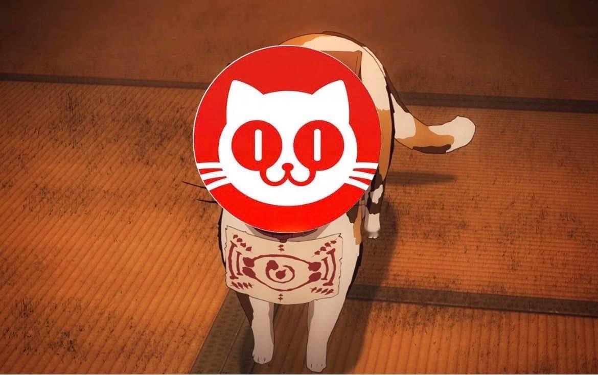 请相信！猫眼！ 