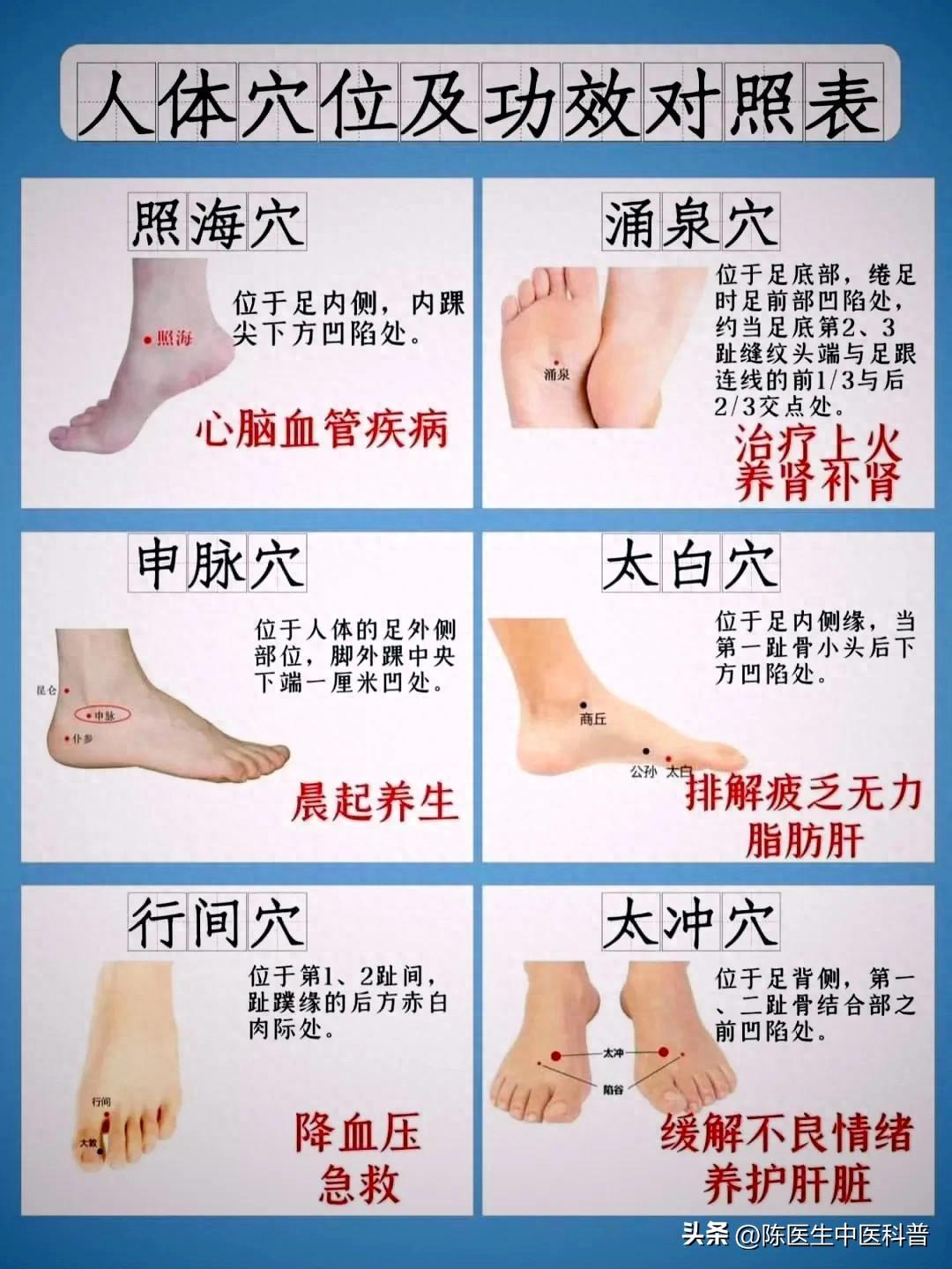 人手一份的人体穴位宝典！健康从穴位开始