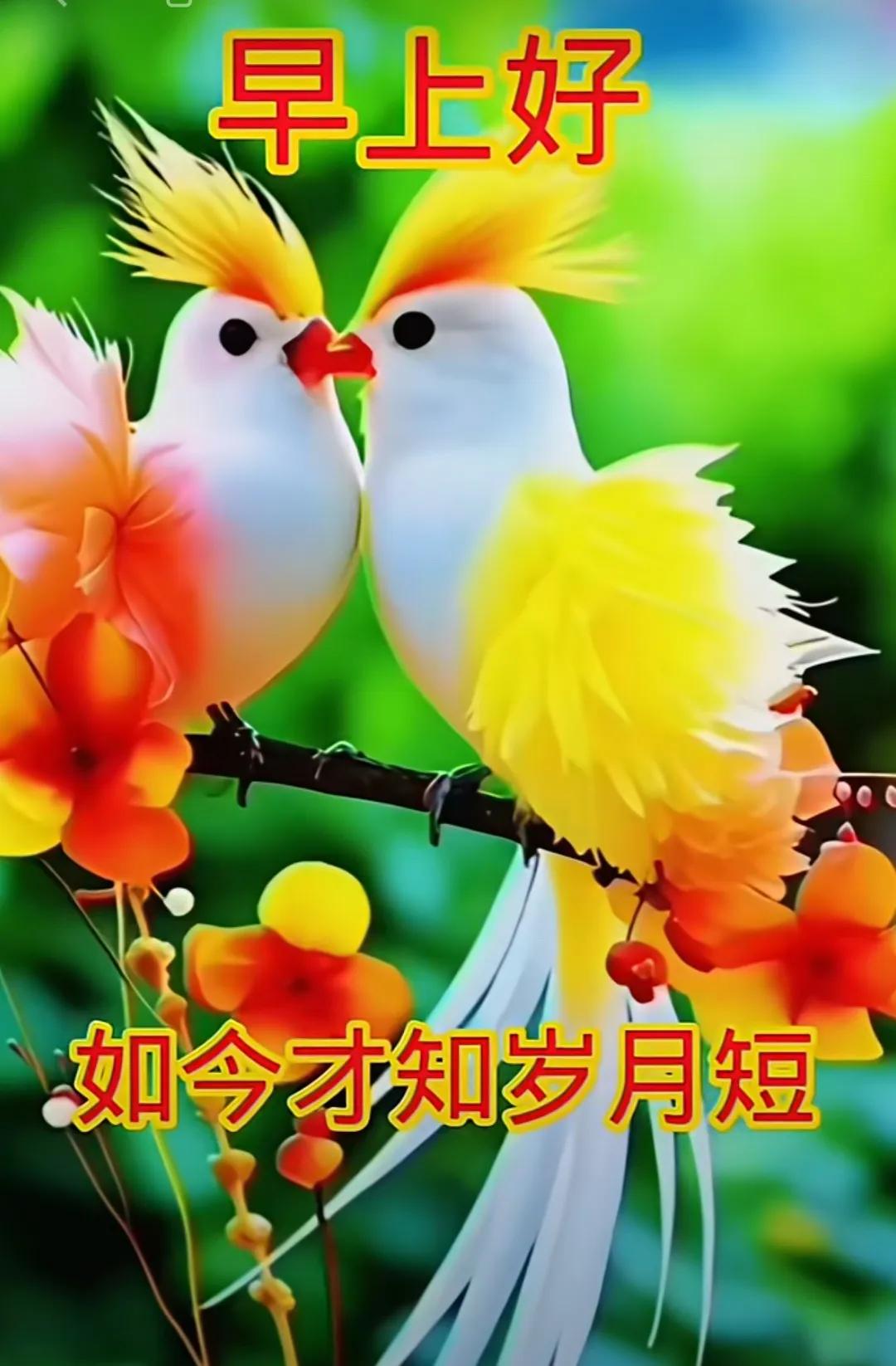 時光帶走了一切，
唯獨友誼依舊在，
朋友是人生知音，
願我們一路同行，
共享美好