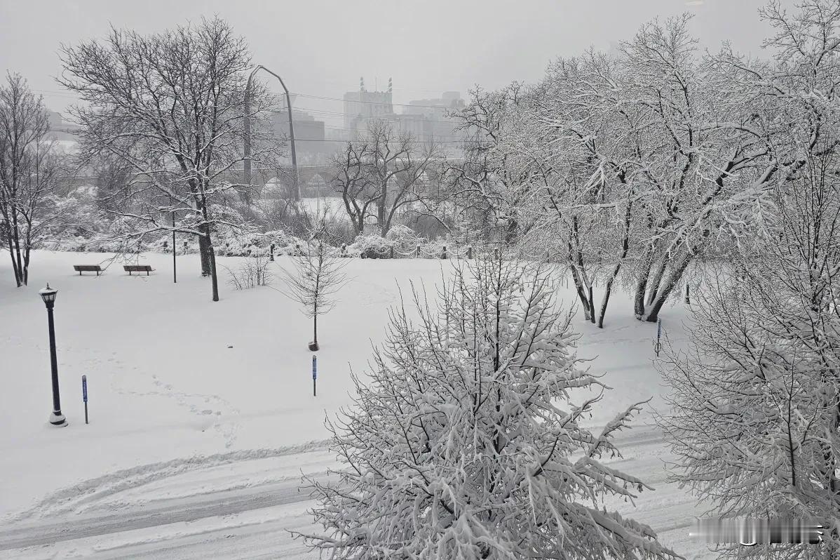 强风暴肆虐美国多州引发灾害，太平洋风暴将至 或造成暴风雪条件

一场强风暴在美国