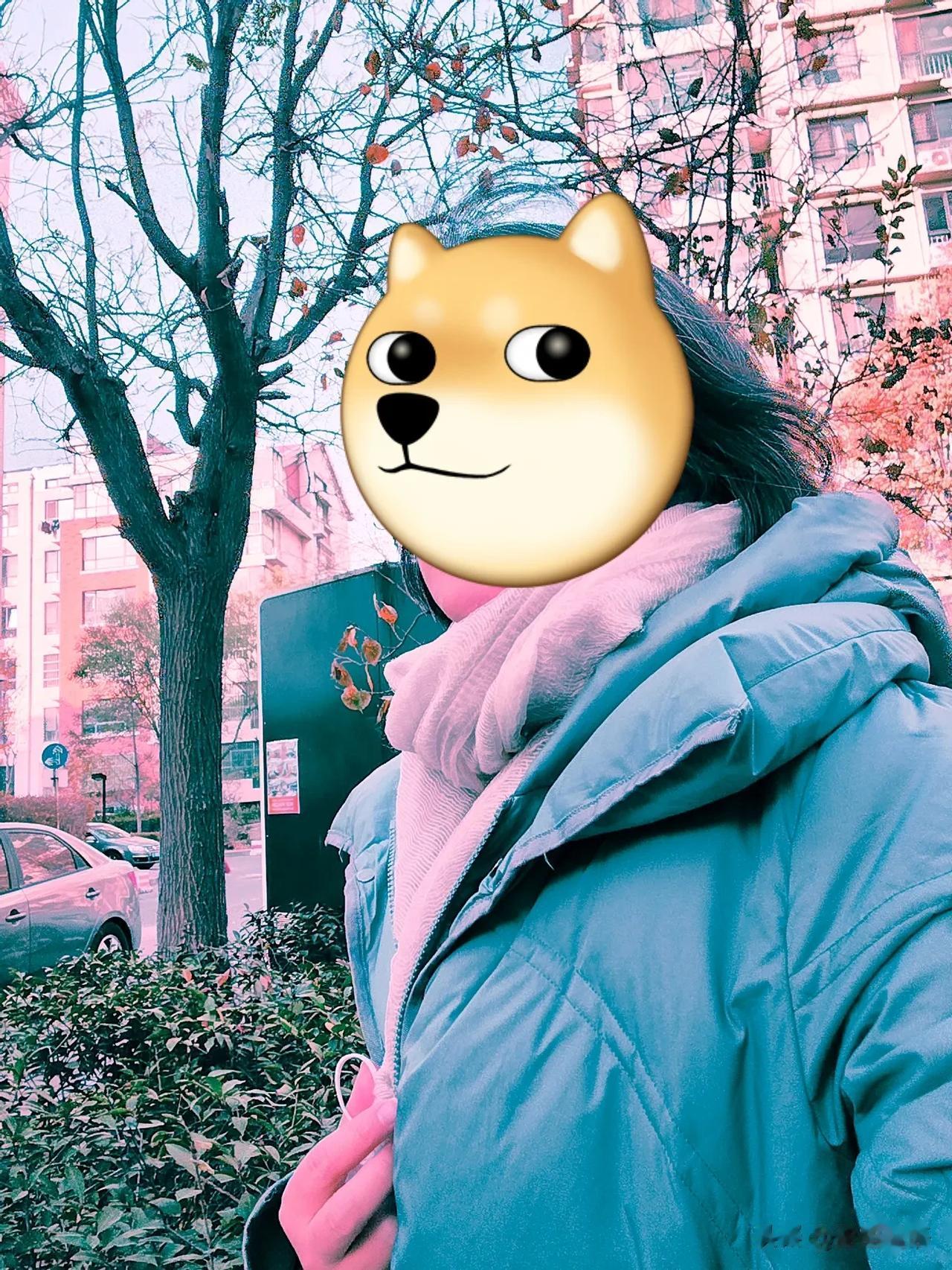 我还是那么喜欢你
想和你一起看
蓝天白云
山涧清泉
梧桐落叶
大雪纷飞
漫天星光