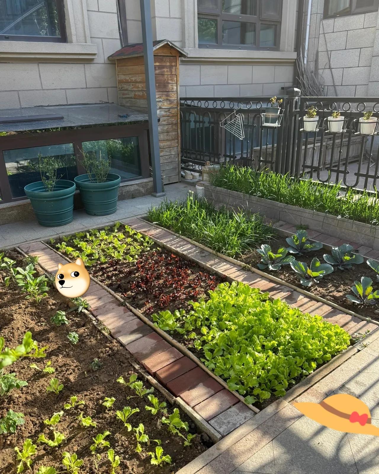 真的被梅婷的生活治愈了！北京近亿别墅里，最金贵的从来不是装修，而是公婆打理的40