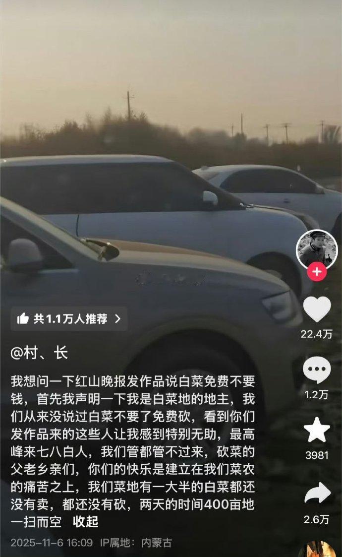 近日，一则“白菜免费”的不实视频在网上传播，导致内蒙古赤峰一菜地近200亩白菜被