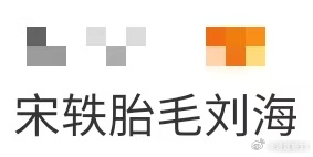 宋轶胎毛刘海宋轶胎毛刘海！这个胎毛刘海真的太会了，细碎的小绒毛贴在额角，把脸衬得