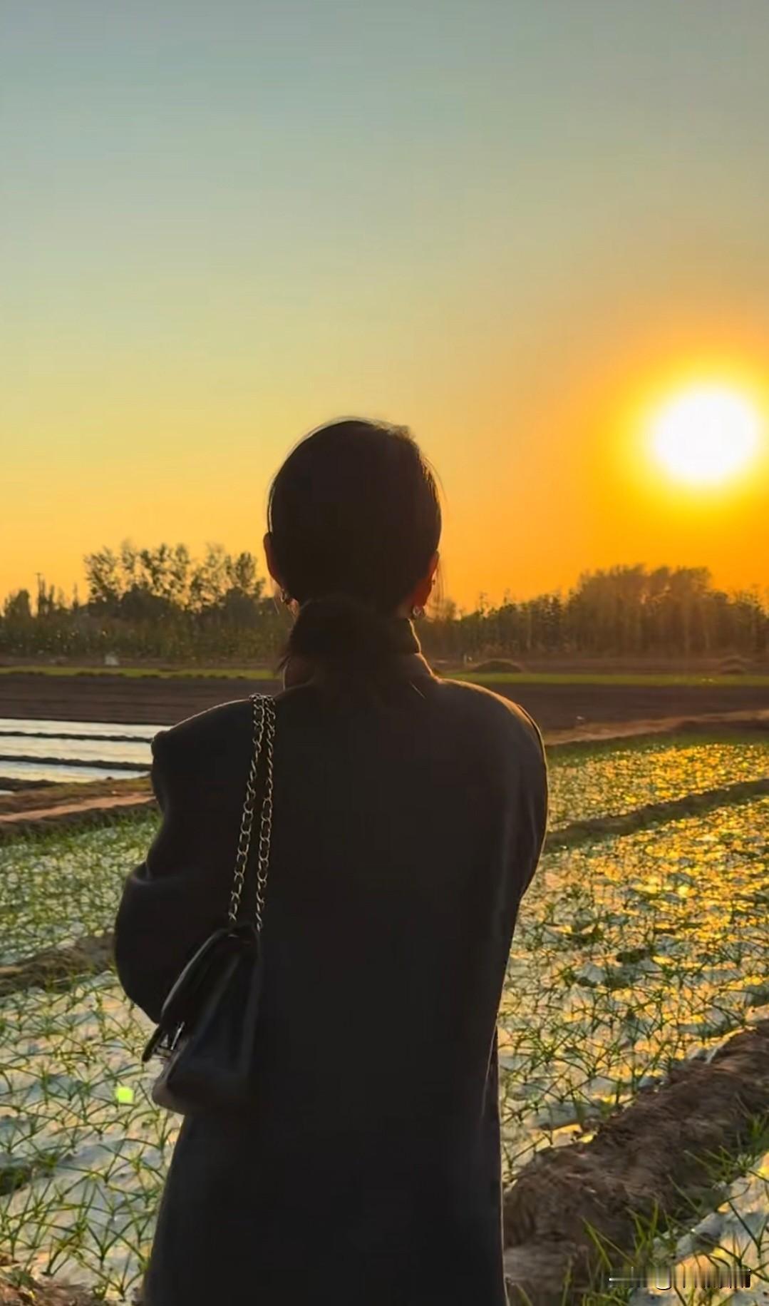 久雨重阳後，清寒小雪前。