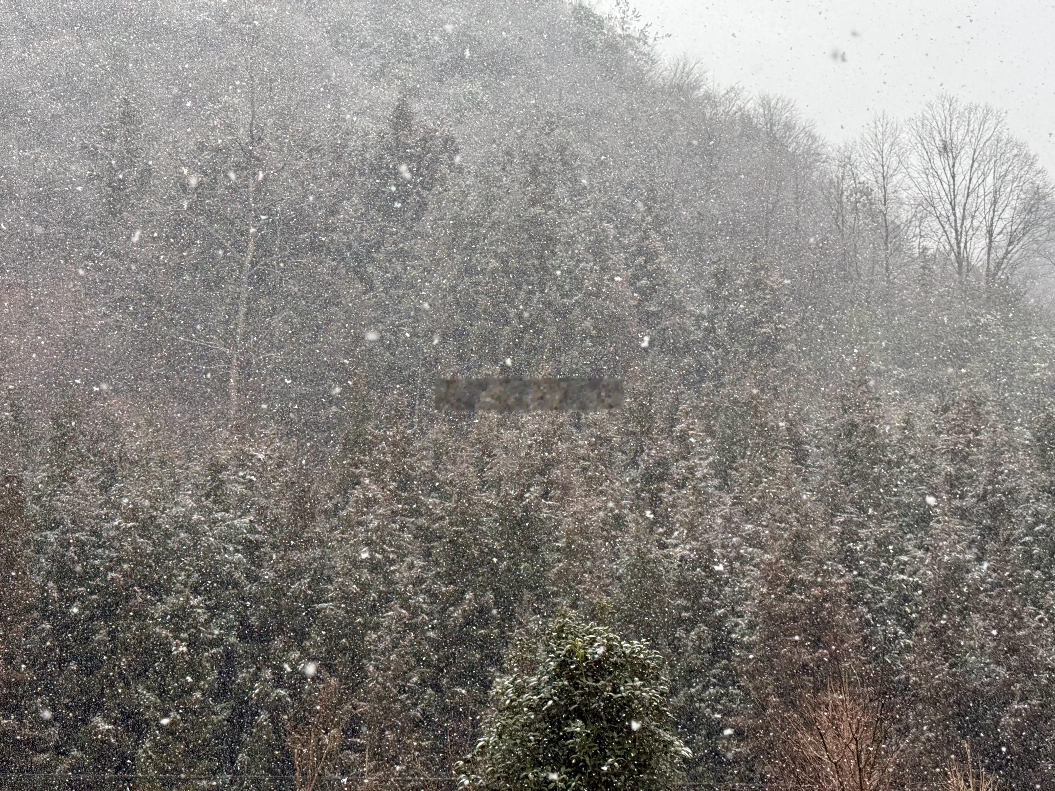 前两天滑雪场雪都快化了！今天直接下大雪了！太快乐了！小帅Craft 恩施