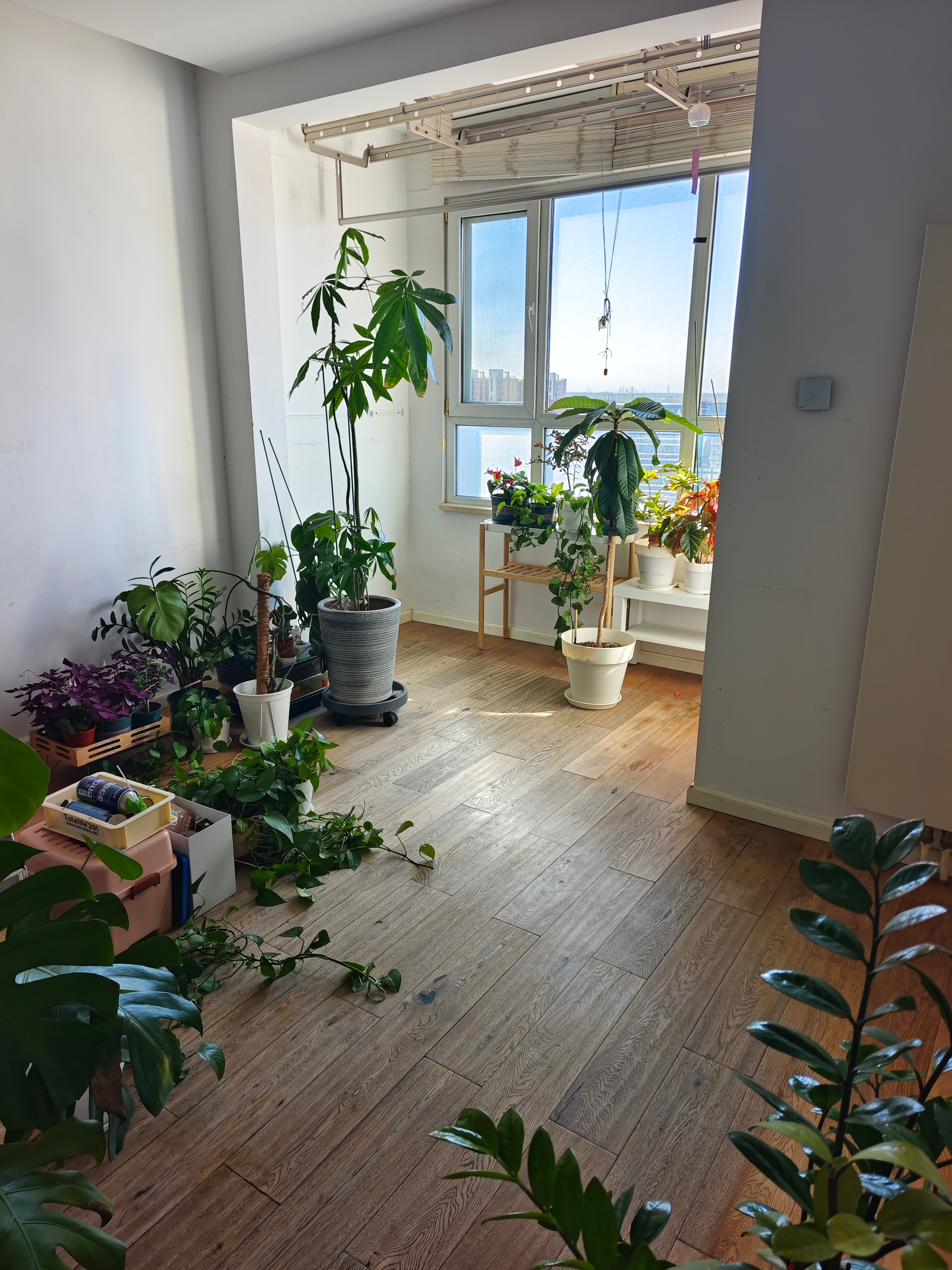 今天要给人家交房了，要彻底跟这个我们住了快十年的小家说再见了有点难过签合同卖房那