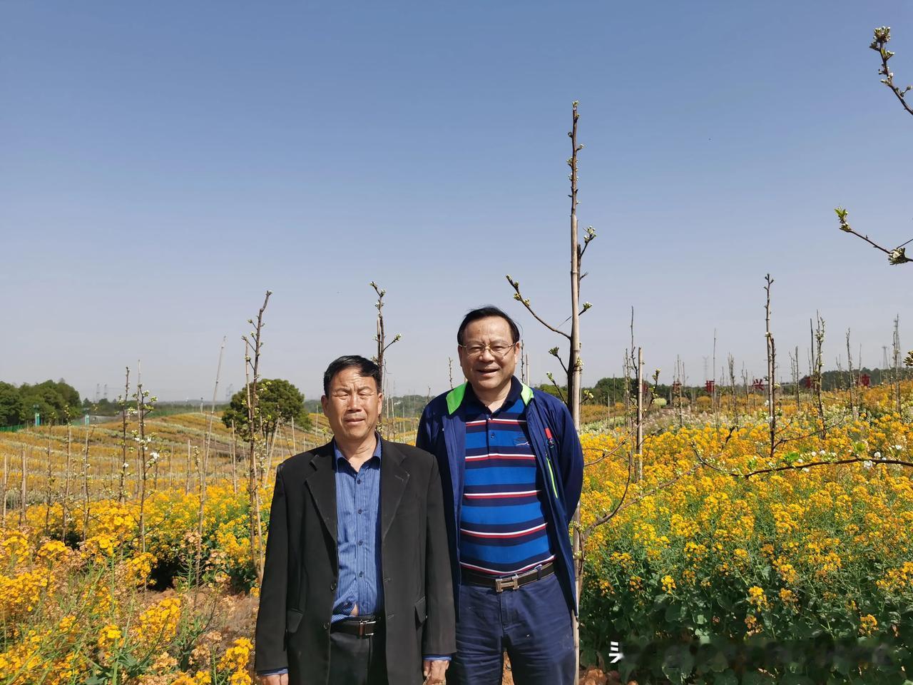 为什么有些做了十几年休闲农庄的老板总是说没赚到钱，投资农业就跟我们家庭一年的开支