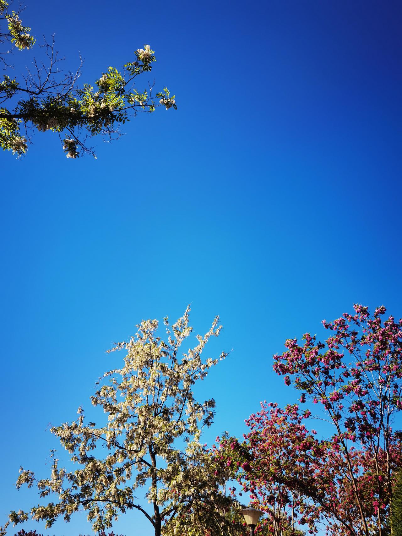 怎么断除自己的是非之心？
生活是个大染缸，有人的地方就有江湖，是非之心也便人皆有