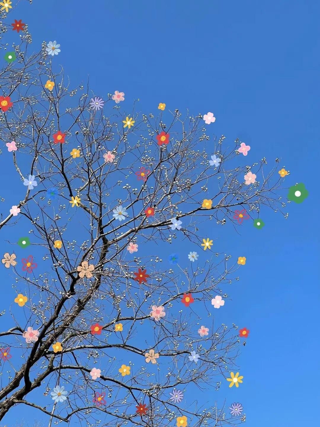 这两天，大家都开始上班了，脑海里还残留亲朋好友的影子，发现一个现象：和血缘关系近