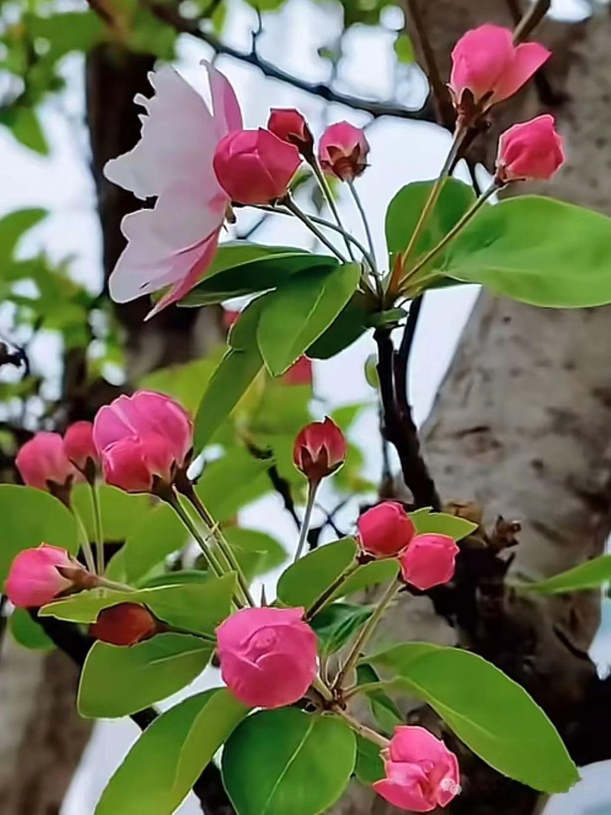 《七律～信息更新的诗与远方》

银行做法始无同，
信息更新几日中；
保险心思终不